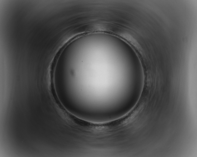 X0000088661031200705251518