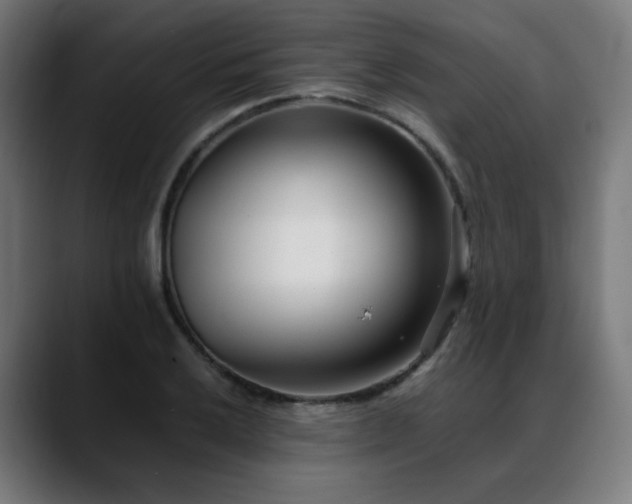 X0000088661032200705251518