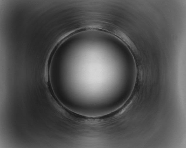 X0000088661036200705251518