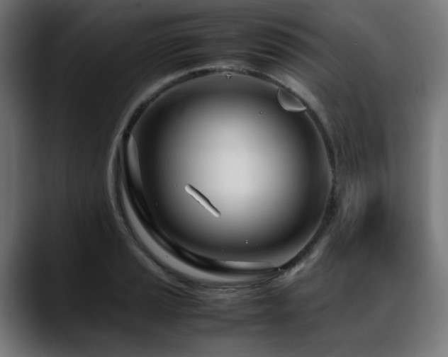 X0000088661037200705251518