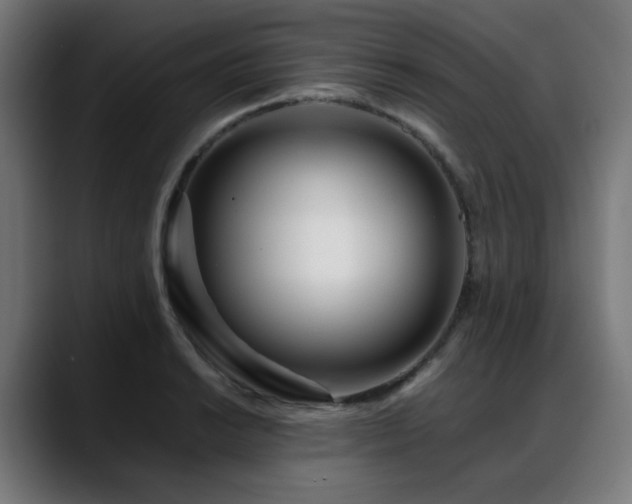 X0000088661038200705251518