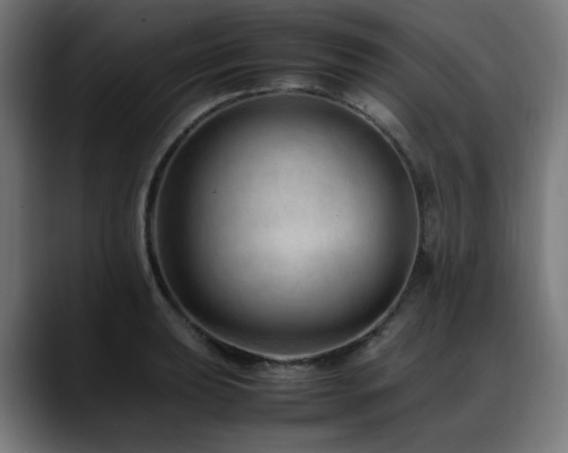 X0000088661039200705251518