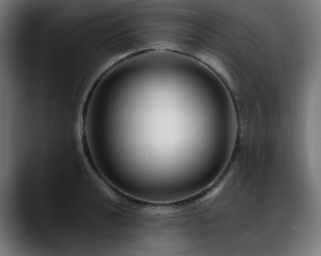 X0000088661040200705251518