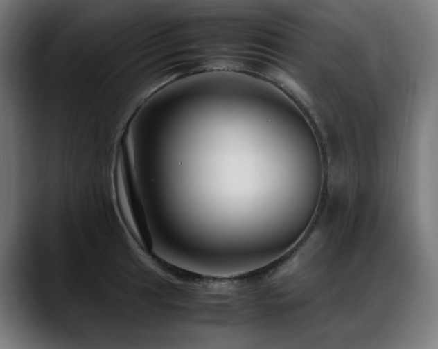 X0000088661041200705251518