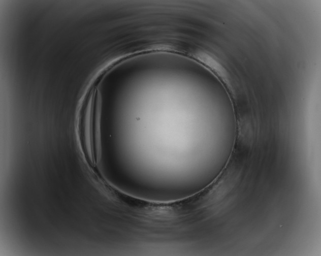 X0000088661043200705251518