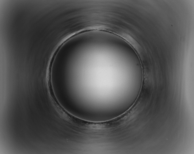 X0000088661044200705251518