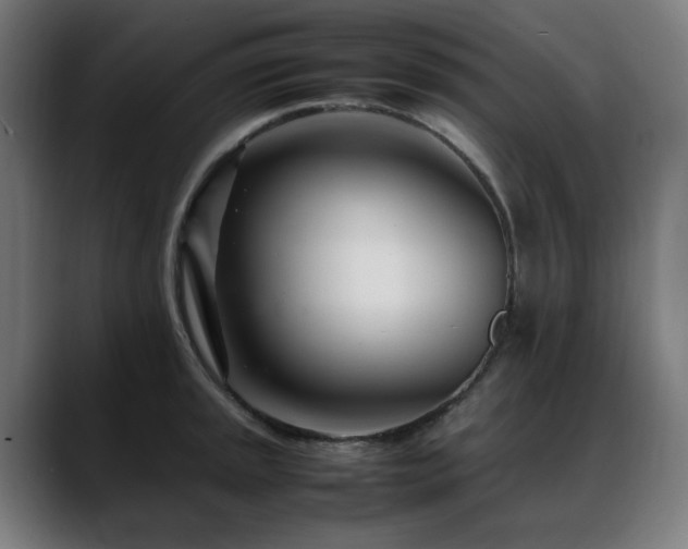 X0000088661045200705251518