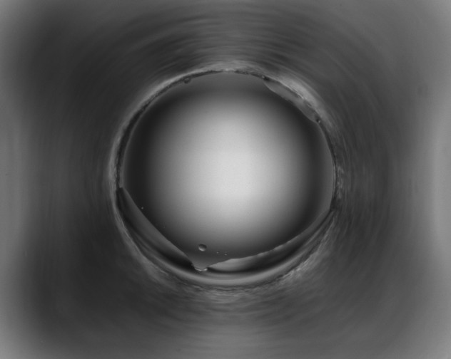 X0000088661046200705251518