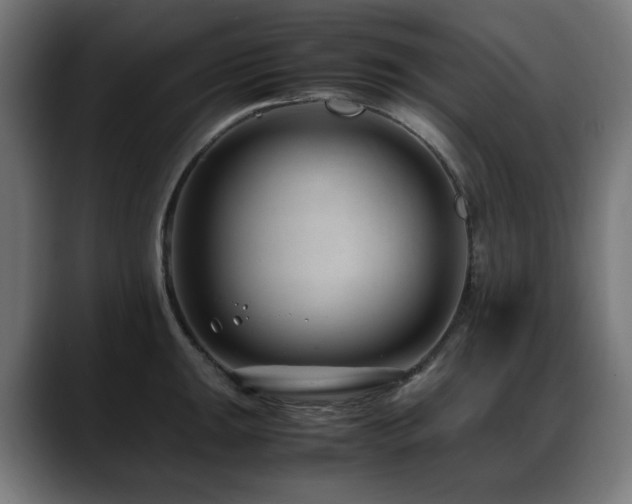 X0000088661047200705251518