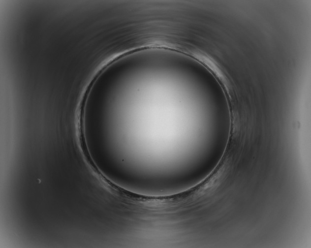 X0000088661048200705251518