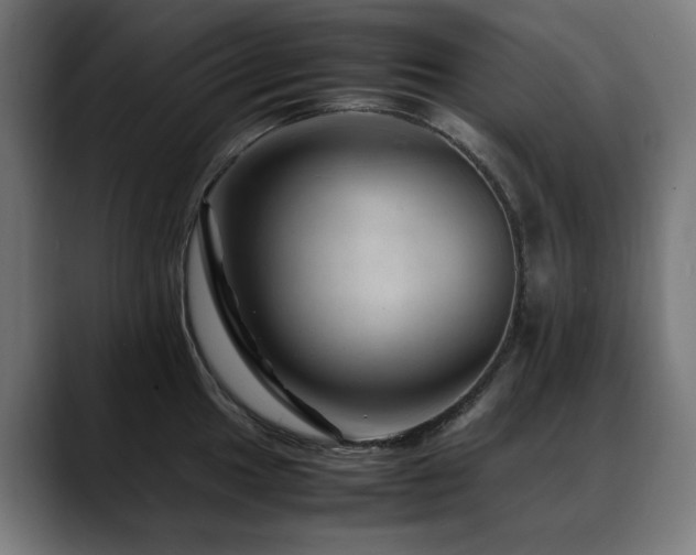 X0000088661049200705251518