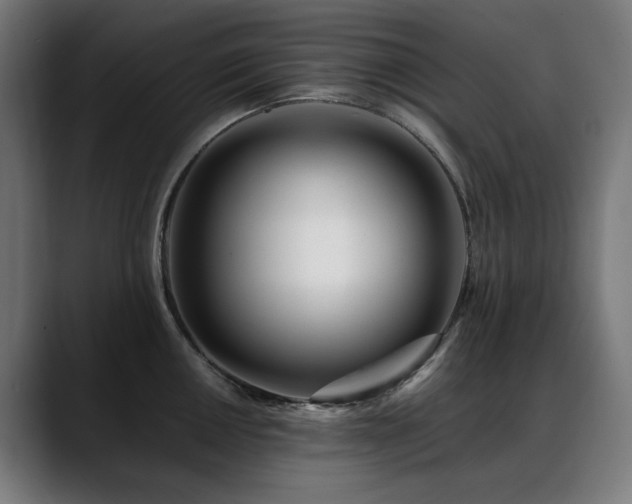 X0000088661050200705251518