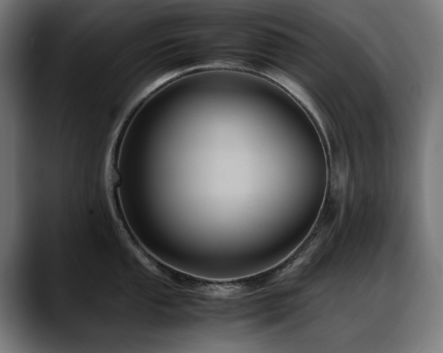 X0000088661053200705251518