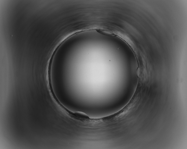 X0000088661055200705251518