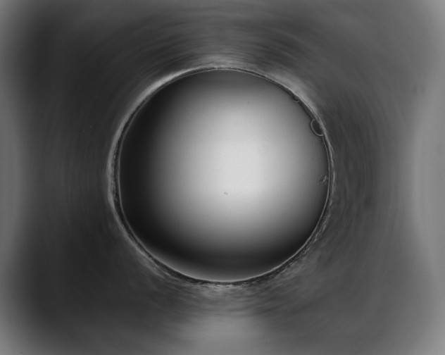 X0000088661056200705251518