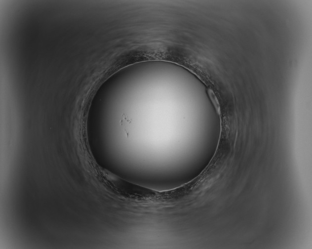 X0000088661057200705251518