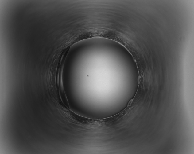 X0000088661058200705251518