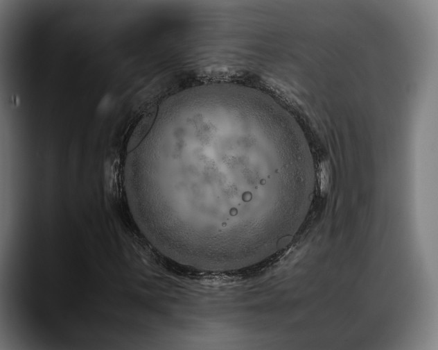 X0000088661059200705251518