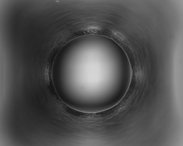 X0000088661060200705251518