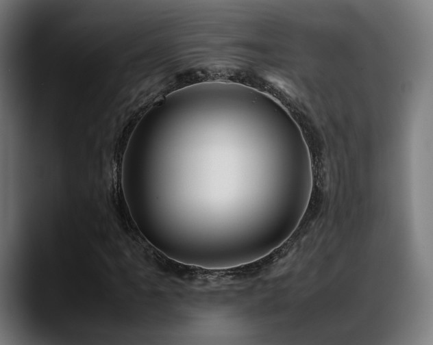 X0000088661061200705251518