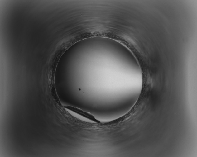 X0000088661063200705251518