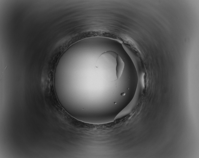 X0000088661064200705251518