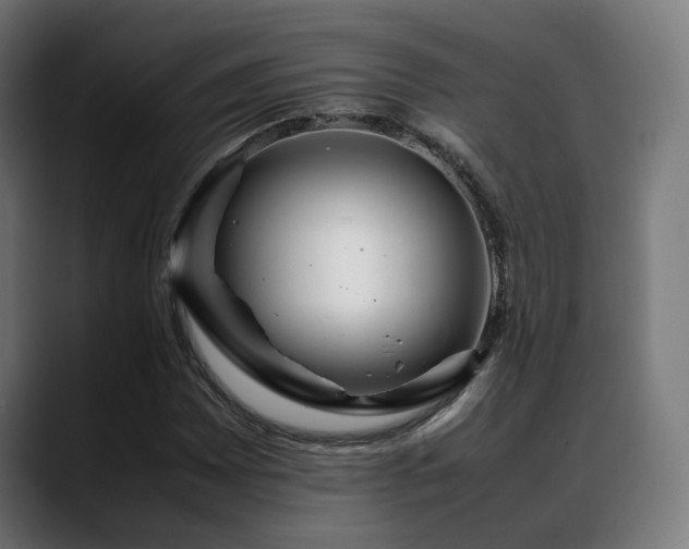 X0000088661065200705251518