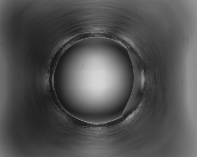 X0000088661066200705251518