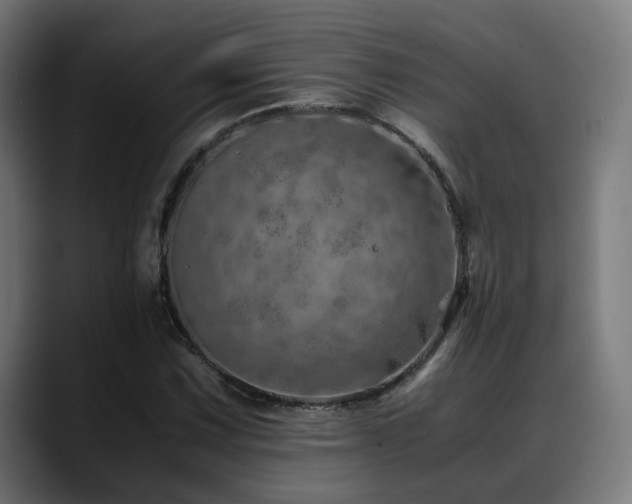 X0000088661067200705251518