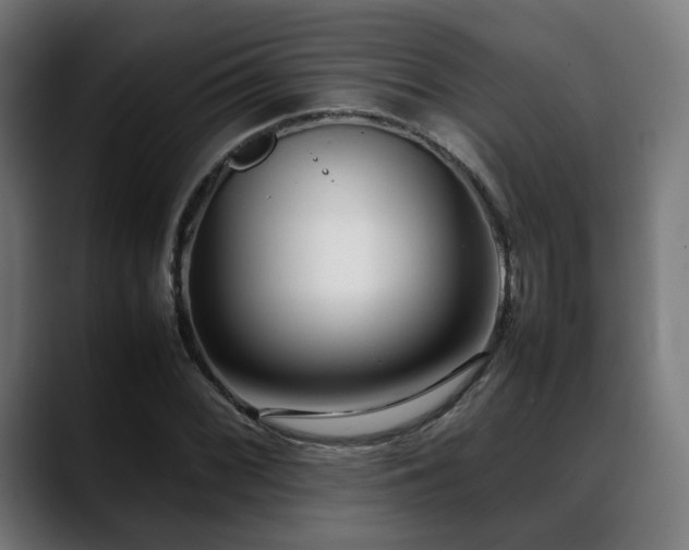 X0000088661068200705251517