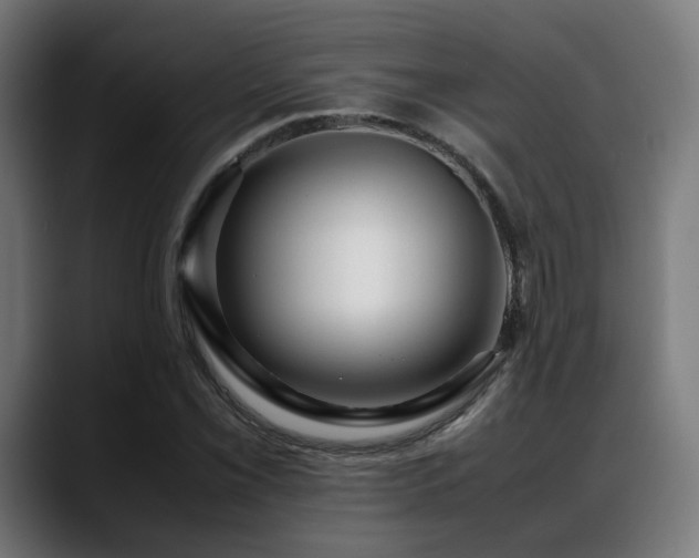 X0000088661069200705251517