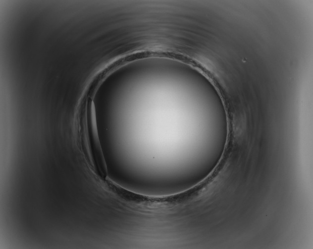 X0000088661070200705251517