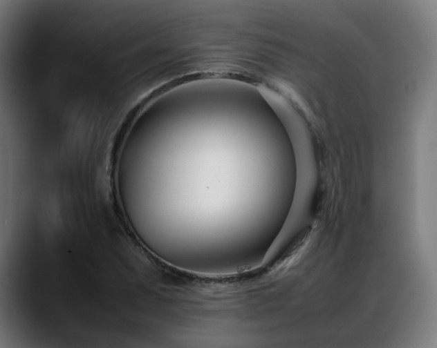 X0000088661071200705251517