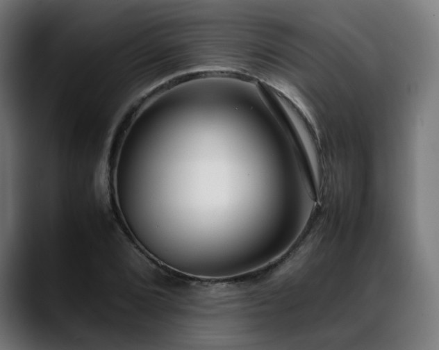 X0000088661072200705251517