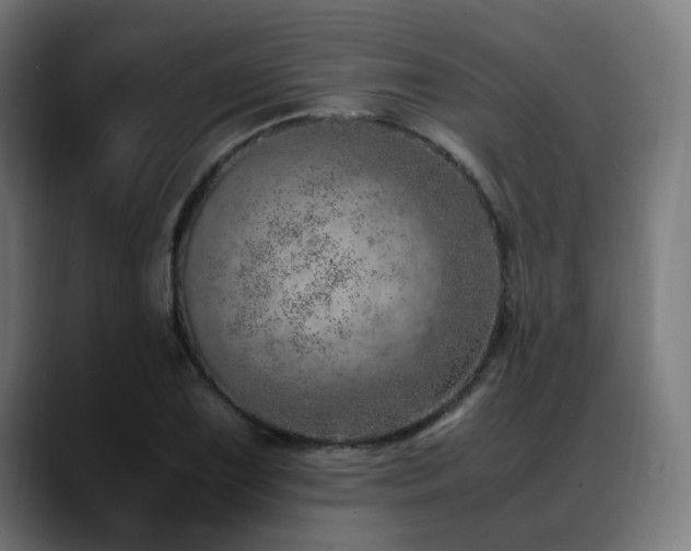 X0000088661075200705251517