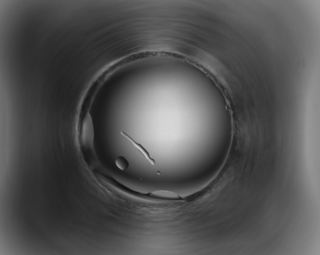 X0000088661076200705251517