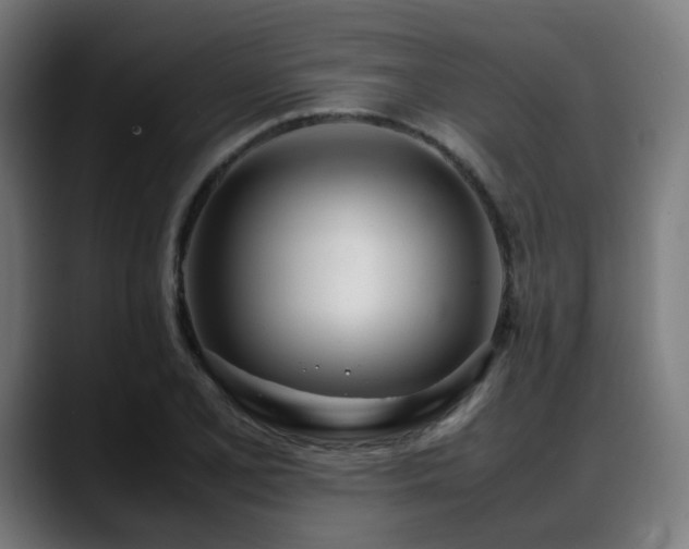 X0000088661077200705251517