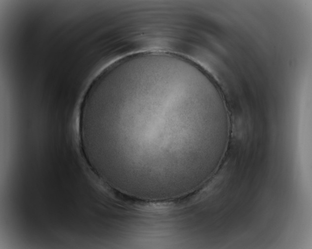 X0000088661078200705251517