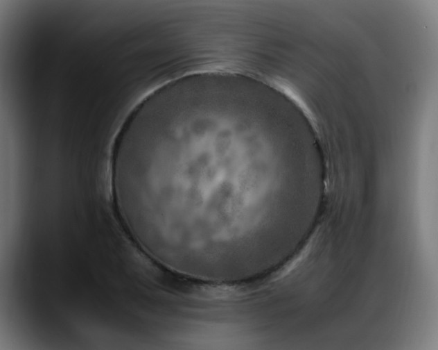 X0000088661079200705251517