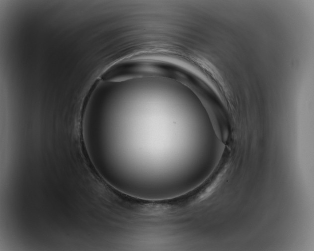 X0000088661081200705251517