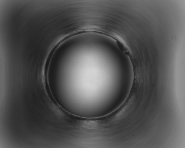 X0000088661082200705251517