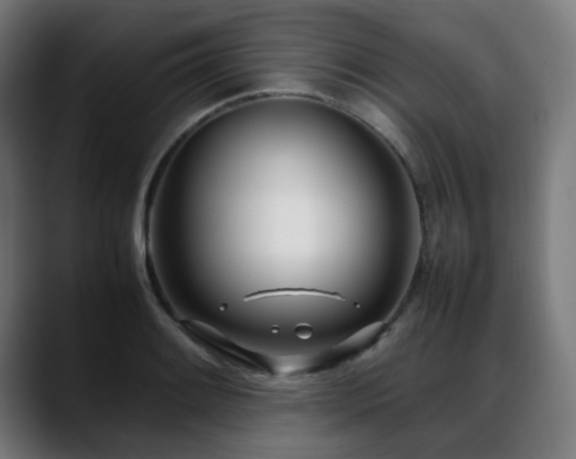 X0000088661084200705251517