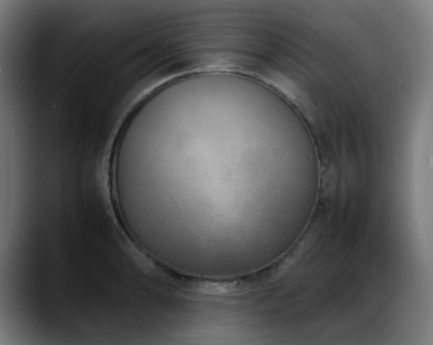 X0000088661086200705251517