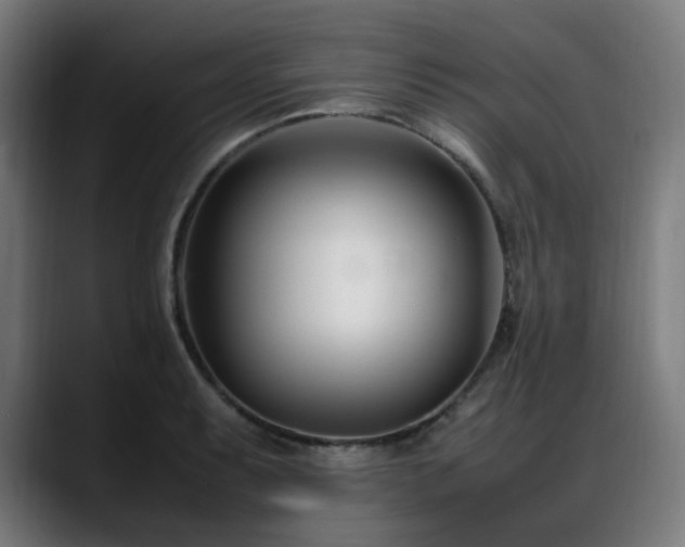 X0000088661087200705251517