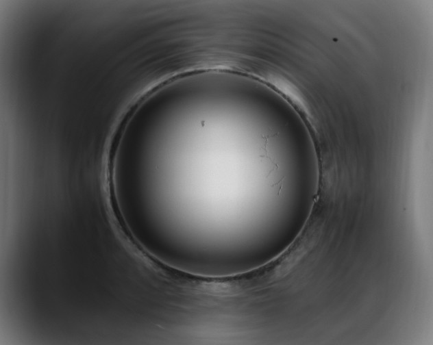 X0000088661088200705251517