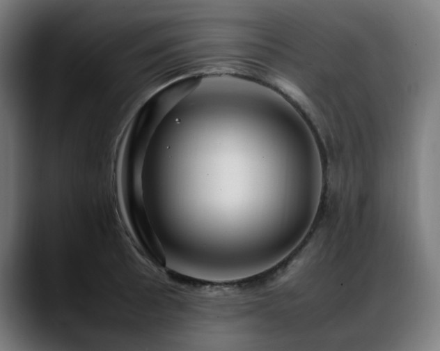 X0000088661089200705251517