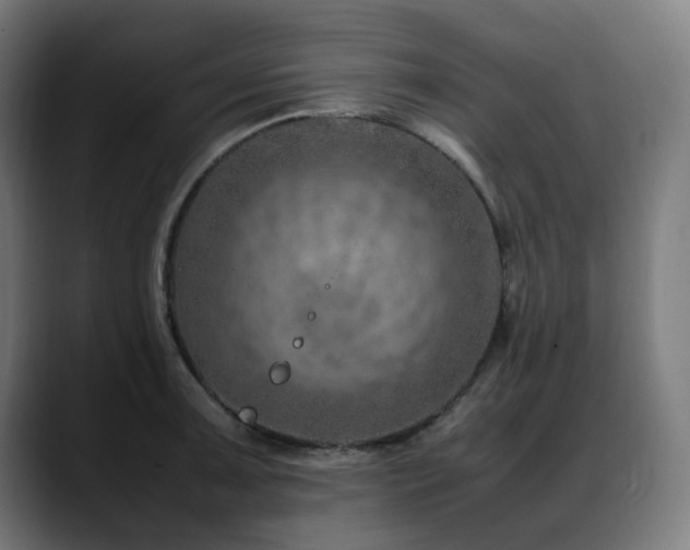 X0000088661091200705251517