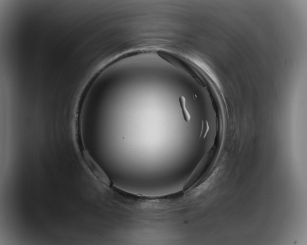 X0000088661093200705251517