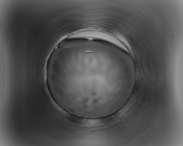 X0000088661095200705251517