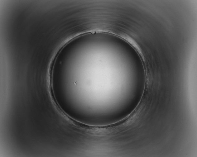 X0000088661096200705251517